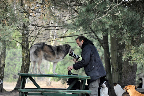 Citizen Animal jip film & verleih Frankfurt